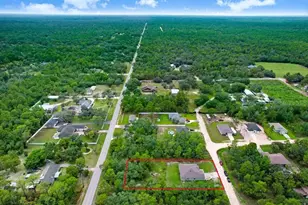 12290 Quigley Ave, Brooksville, FL 34614 - Photo 31