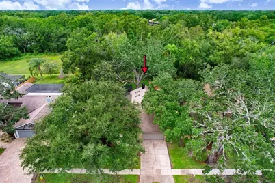 1040 Sylvia Lane, Tampa, FL 33613 - Photo 49