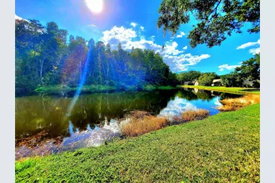 382 Waterford Circle E, Tarpon Springs, FL 34688 - Photo 53