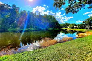 382 Waterford Cir E, Tarpon Springs, FL 34688 - Photo 57