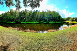 382 Waterford Cir E, Tarpon Springs, FL 34688 - Photo 5