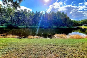 382 Waterford Cir E, Tarpon Springs, FL 34688 - Photo 59
