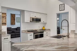 1055 Blyth Hill Ct, Trinity, FL 34655 - Photo 3