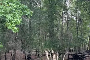 0 Palamino Lake Dr, Dade City, FL 33523 - Photo 1