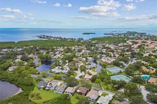 1011 S Pointe Alexis Dr, Tarpon Springs, FL 34689 - Photo 87