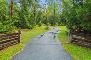 11320 Salome St, Brooksville, FL 34614 - Photo 3