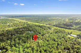 11320 Salome St, Brooksville, FL 34614 - Photo 43