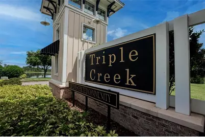 12788 Maple Bonsai Drive, Riverview, FL 33579 - Photo 7