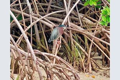 7979 Sailboat Key Boulevard S #508, South Pasadena, FL 33707 - Photo 43