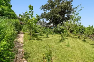 3203 E Yukon St, Tampa, FL 33604 - Photo 5