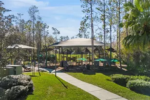 3641 Fawnmist Dr, Wesley Chapel, FL 33544 - Photo 77