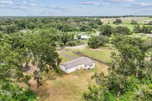 10003 Benjamin Smith Dr, Thonotosassa, FL 33592 - Photo 67