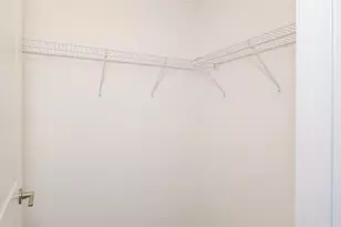 10069 Branching Ship Trce, Wesley Chapel, FL 33545 - Photo 29