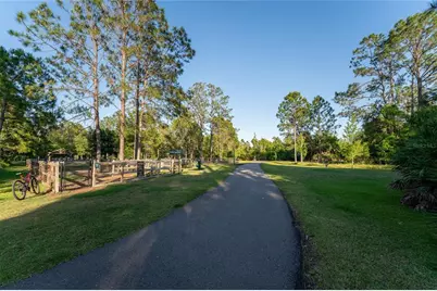 9117 Woodridge Run Drive, Tampa, FL 33647 - Photo 61