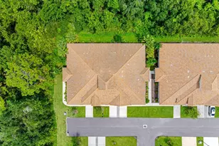 29817 Ganga Way, Wesley Chapel, FL 33543 - Photo 89