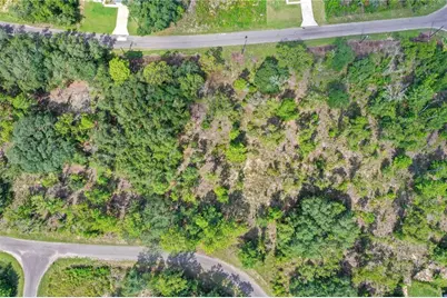 0024 Guava Pass Drive, Ocklawaha, FL 32179 - Photo 3
