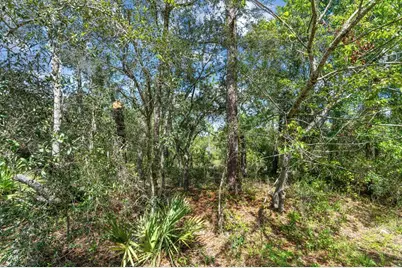 0024 Guava Pass Drive, Ocklawaha, FL 32179 - Photo 21
