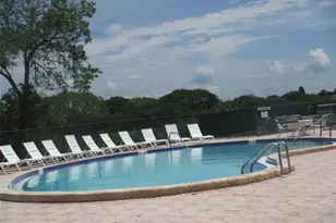 165 Pinewood Terrace, Safety Harbor, FL 34695 - Photo 43