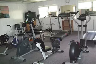 165 Pinewood Terrace, Safety Harbor, FL 34695 - Photo 39