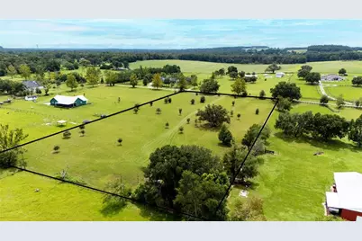 36341 Florrie Mae Lane, Dade City, FL 33523 - Photo 9