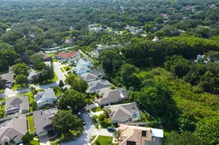 2379 Azalea Dr, Palm Harbor, FL 34683 - Photo 57