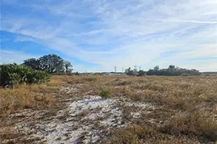 625 S Reed Rd, Avon Park, FL 33825 - Photo 5