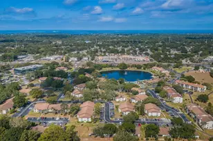 2687 Pine Ridge Way S, Palm Harbor, FL 34684 - Photo 49