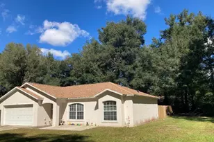 3073 SE 142nd Ln, Summerfield, FL 34491 - Photo 1