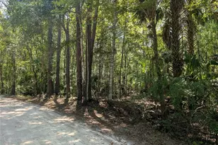 6252 E River Rd, Hernando, FL 34442 - Photo 1