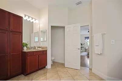 27211 Hawks Nest Circle, Wesley Chapel, FL 33544 - Photo 29