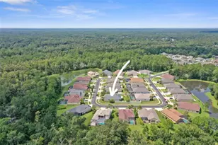 27211 Hawks Nest Cir, Wesley Chapel, FL 33544 - Photo 55