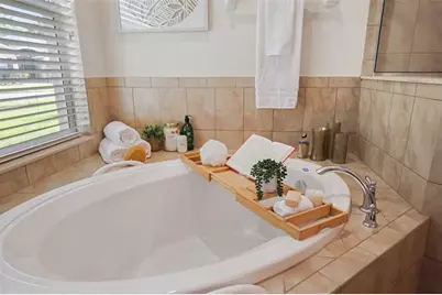 27211 Hawks Nest Circle, Wesley Chapel, FL 33544 - Photo 31