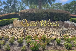 27211 Hawks Nest Cir, Wesley Chapel, FL 33544 - Photo 57