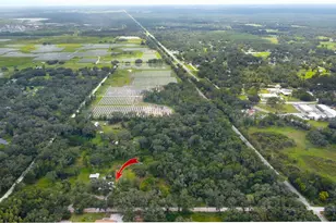 39912 Jerry Rd, Zephyrhills, FL 33540 - Photo 57