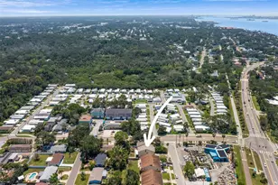 2003 McMullen Ave, Dunedin, FL 34698 - Photo 91