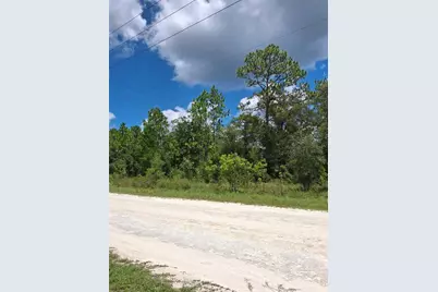 14020 Cedarwood Avenue, Weeki Wachee, FL 34614 - Photo 5