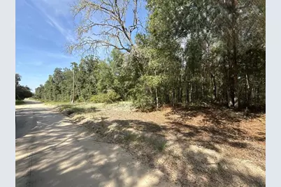 Gloria Avenue, Interlachen, FL 32148 - Photo 5