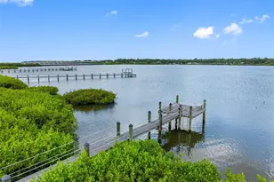 804 Charles Blvd, Oldsmar, FL 34677 - Photo 3