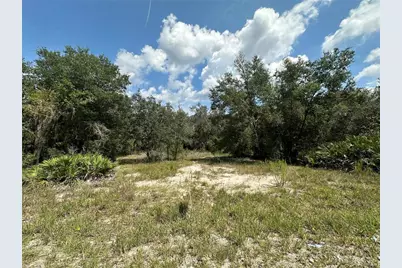 2208 SW Shorewood Drive, Dunnellon, FL 34431 - Photo 3