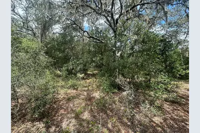 2208 SW Shorewood Drive, Dunnellon, FL 34431 - Photo 5