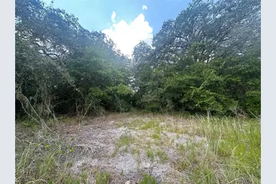 2208 SW Shorewood Drive, Dunnellon, FL 34431 - Photo 13