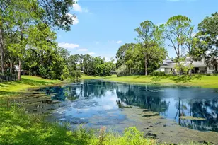 12404 Stillwater Terrace Dr, Tampa, FL 33618 - Photo 23