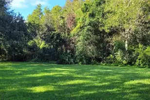 4802 Tea Rose Ct, Lutz, FL 33558 - Photo 15