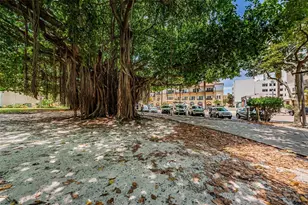 700 Beach Dr NE, Saint Petersburg, FL 33701 - Photo 69