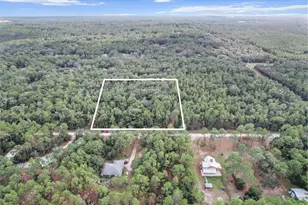 1788 W Manila Ln, Lecanto, FL 34461 - Photo 5