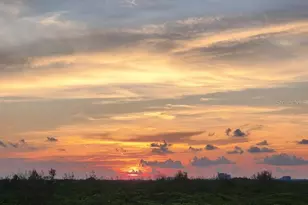 12033 Gandy Blvd N, Saint Petersburg, FL 33702 - Photo 63