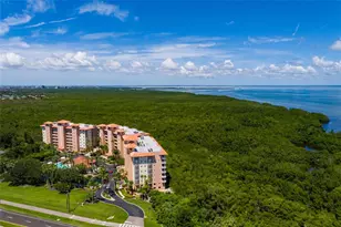 12033 Gandy Blvd N, Saint Petersburg, FL 33702 - Photo 55