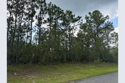 780 W Hummingbird Drive, Citrus Springs, FL 34434 - Photo 3