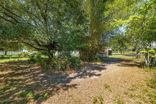7308 Boyette Rd, Wesley Chapel, FL 33545 - Photo 19