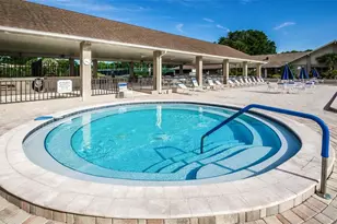 2836 Highlands Blvd, Palm Harbor, FL 34684 - Photo 53